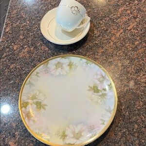 Floral Plate and Teacup Set with Gold Trim